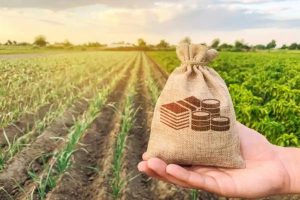 kazakhstan-kyrgyzstan-to-launch-green-light-corridor-for-agricultural-trade-6479a52