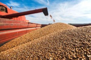 azerbaijan-boosts-grain-exports-from-kazakhstan-f9eac05