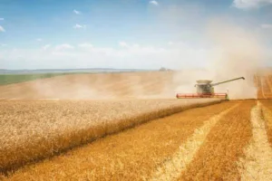 russia-weighs-cryptocurrency-use-in-grain-trade-1694f81