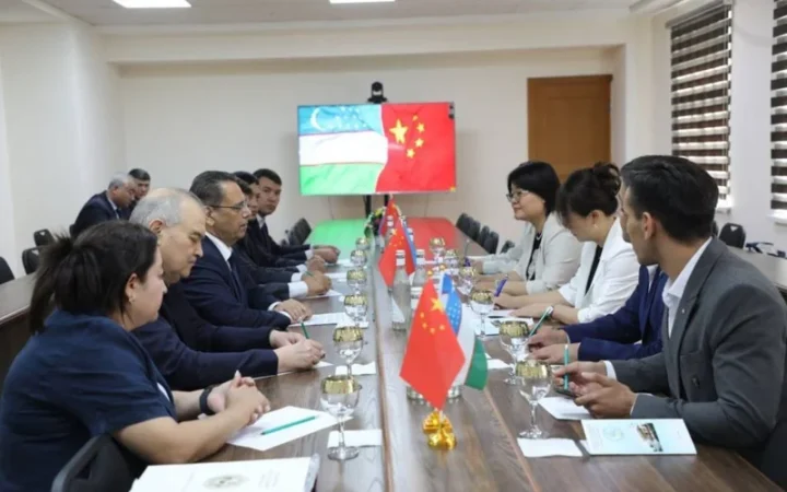 021a10076e6a4cc6c5b7a1f642580038