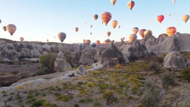 916a39307fc3fd79af3e4420b2eab366