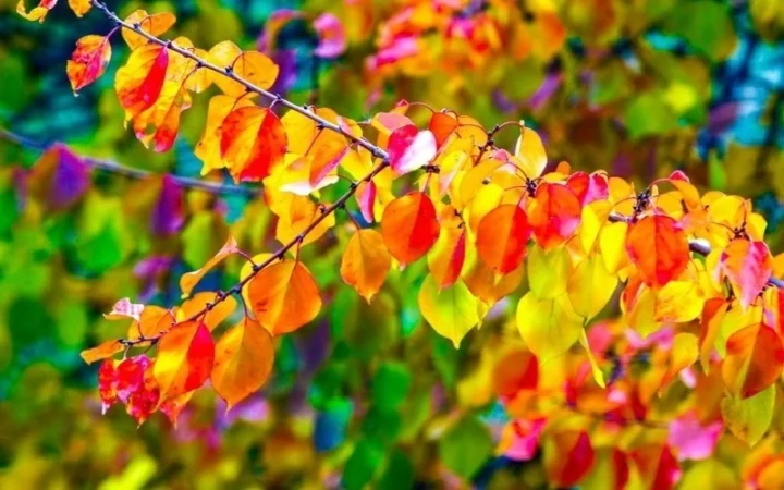 9edea98b54487ed75c0e2c19243f8ed8