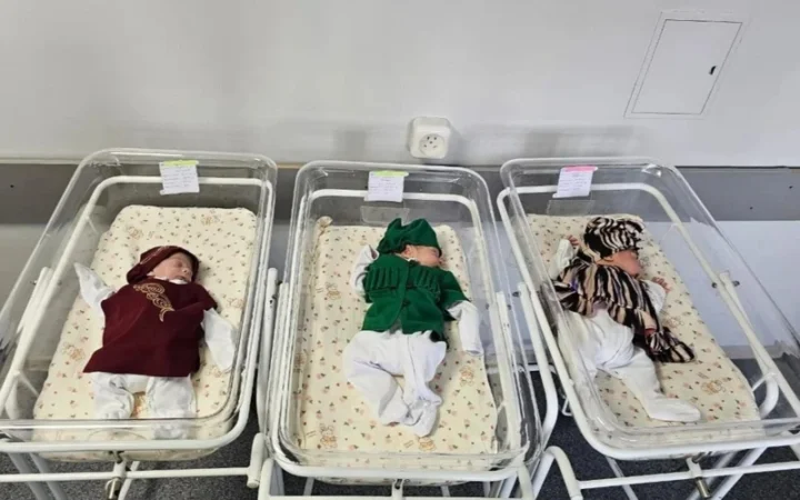 37a71cd7d382f48f4b268c7ad41cd5b1