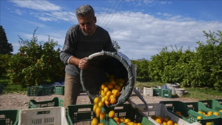 4a92566c55f2118de36ea83f56c7e9f5