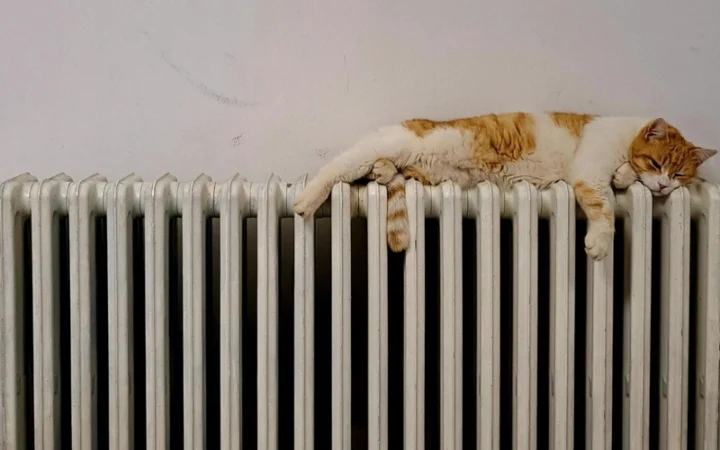 dff4f47ae9737ad1cf4960335e440bb4