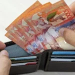 Забота о сельской ветеринарии: Казахстан повысит зарплаты специалистам с 2027 года