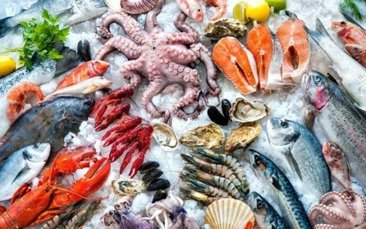 6cad9985a60123d0547566e38ec55504