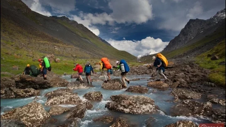 97ed9f878a71c45f32b87a5e49b9f239