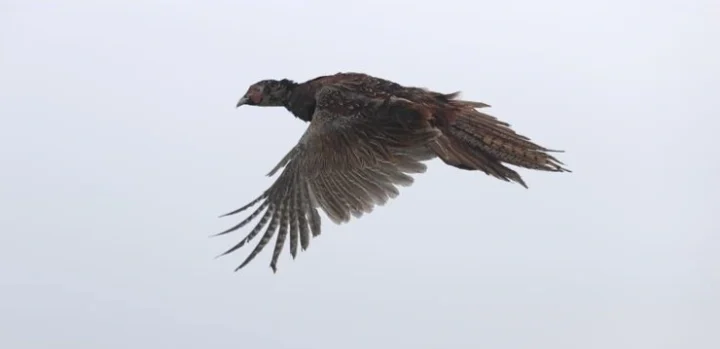 5fce1671c82eb52df5d906261f34691f