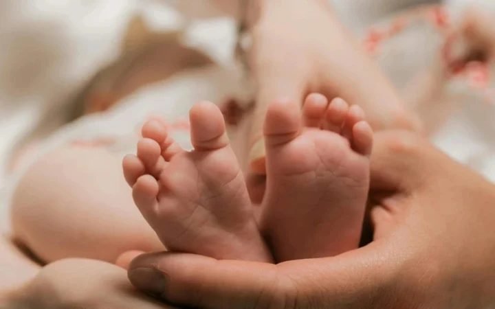 8f73ee2be62253d89efb72e20b65412a