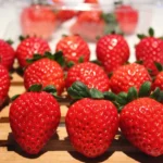 9dca387c06557a88f8211d64081a2bb0