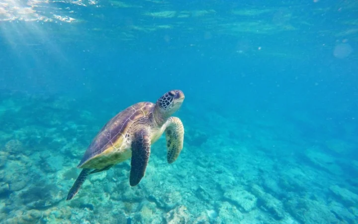 a7b0561ac43aa653e65d387553ad5eb6