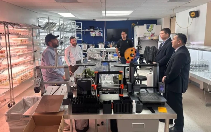 01dfa2f6f7c242284983c81f11db5fa7