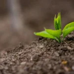 Бишкек временно ограничит экспорт удобрений: шаг к продовольственной безопасности