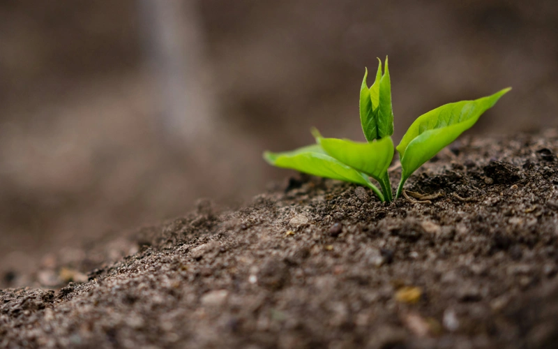 0c36526ae0fb72779cfb62f7dd133834