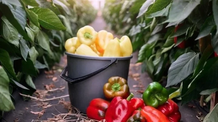 a3d242fa1f138058e1740a525002e041