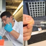 Биопечать органов в Узбекистане: прорыв, меняющий будущее медицины