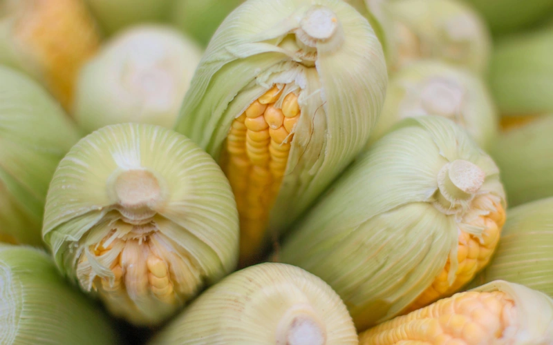 6b725d71ed3e9967d7f6f3b15159b0f1