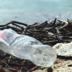 Зеленая инициатива Анкары: отказ от пластика ради будущего региона