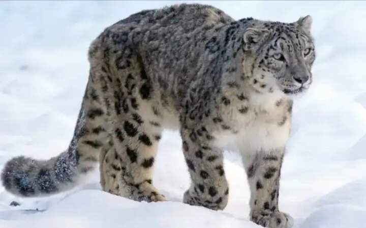 c8064cdd642486edd8b299741b413b6f