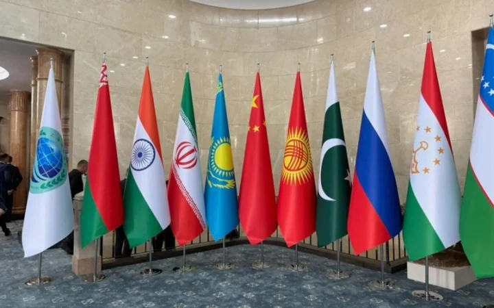 0221c15230668a349e4f6f07328d767e