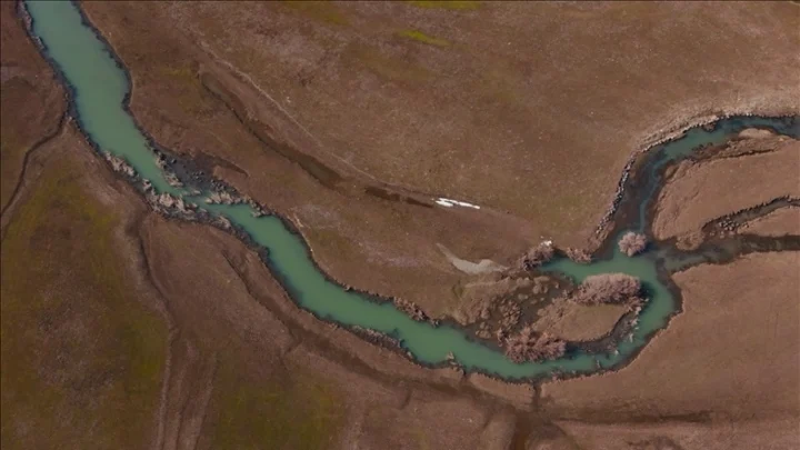 145c57e7f571527208e184d4c56cf5f0