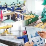 Экономика Казахстана в 2025 году: рекордная занятость и обеление рынка труда