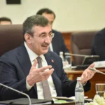 Турция и Казахстан: путь к глубокой экономической интеграции