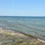 Будущее Каспия: страны тюркского мира объединяют усилия