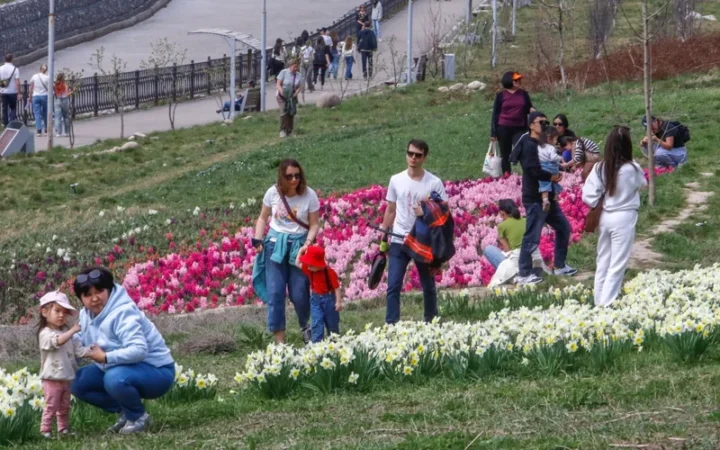 70a257ef60670e046b4cb1ccd85af2df