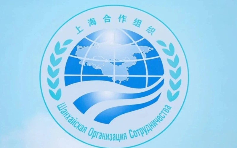 a052eededed68a9e1d3975df47e76561