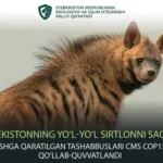 d2aeb0b1844c7c0531a207890fb6ea28