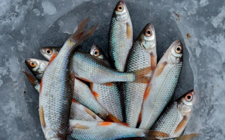 d6968893ca14e4c80f6cfcdbff159141