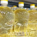 Мировой рынок: как Казахстан стал лидером экспорта подсолнечного масла
