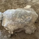 Символы долголетия: археологи Турции обнаружили древние фигурки черепах