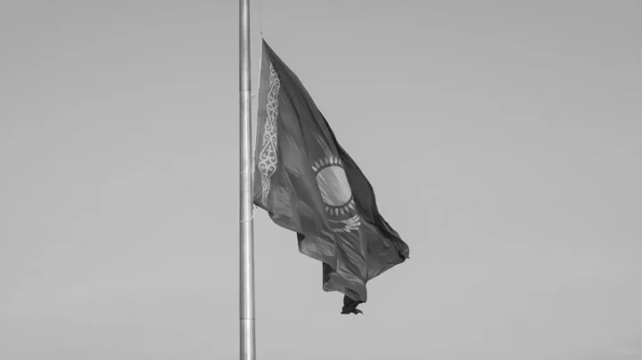 196a8b30c4e56c52c262e517296cff84