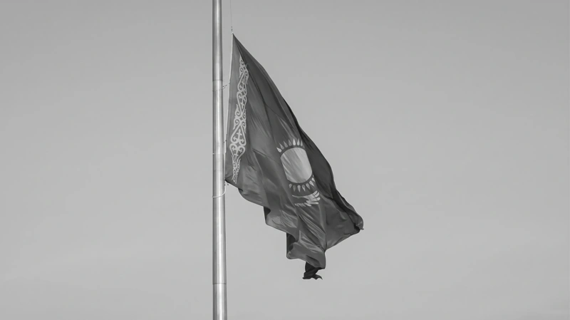 196a8b30c4e56c52c262e517296cff84