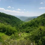 Зеленый щит Тянь–Шаня: лесной фонд Кыргызстана вырос на полмиллиона гектаров