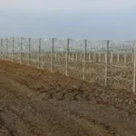 Граница Кыргызстана и Таджикистана: завершен важный этап инженерных работ